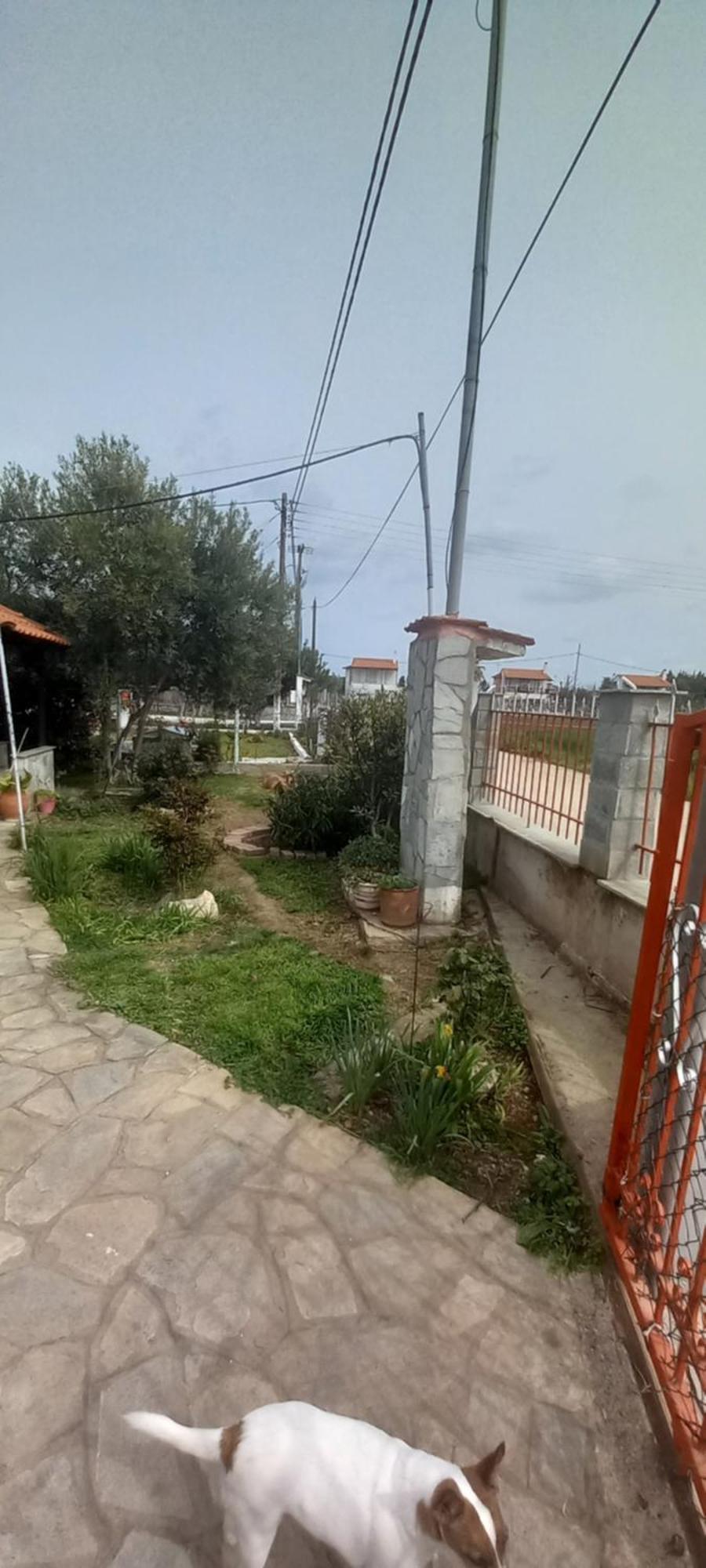 Villa Julia Nea Plagia Exteriör bild