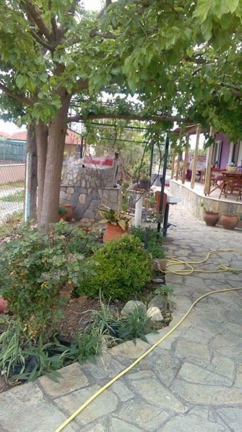 Villa Julia Nea Plagia Exteriör bild